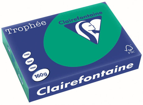Trofeum Clairefontaine intensywne a4 sosnowo-zielone 160 g 250 arkuszy