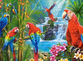 Puzzle Parrot Meeting Castorland - układanka 2000 elementów.