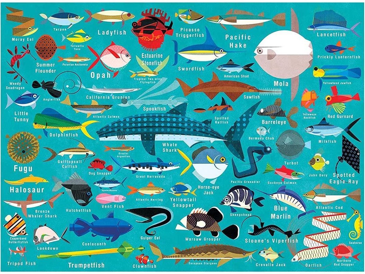 Galison - puzzel 'ocean life' (1000 stukjes)