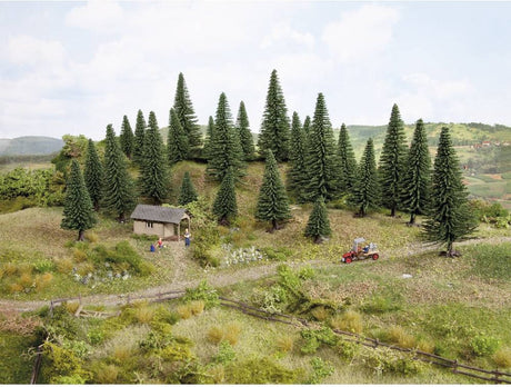 Noch 26838 set bomen zilverspar 50 tot 140 mm donkergroen 50 stuk(s)