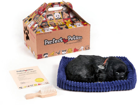 Idealny miękki labrador petzzz w kolorze czarnym