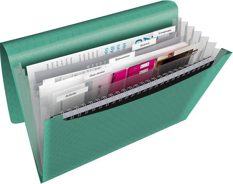 Rozszerzalna teczka projektowa Esselte color'breeze A4 - organizer z 5 zakładkami i 6 przegródkami - kolor zielony