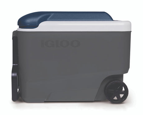 Igloo maxcold 40 roller - średniej wielkości lodówka na kółkach - 38 litrów - kolor szary