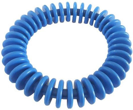 Pierścień do nurkowania Beco - junior - 15 cm - 140 gramów - niebieski