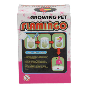 Wzrost jaja flamingo