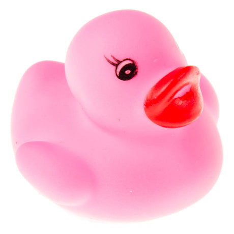 Kaczka kolorowa Duckiez - 24 sztuki