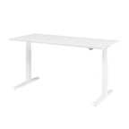 Młotek stacjonarny Bach xmka19 180 x 80 cm