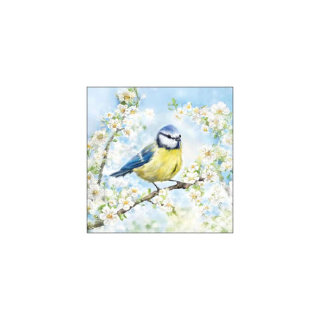 Ambiente servetten 25cm blossom time fsc mix