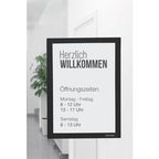 Displayframe magnetoplan 1132012 a3 zwart