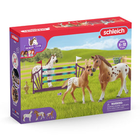 Schleich Horse Club Lisa's Training