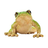 Schleich | 5 sztuk