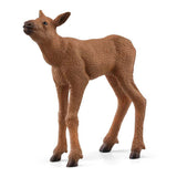 Schleich Wildlife - łoś cielęcy - 42629
