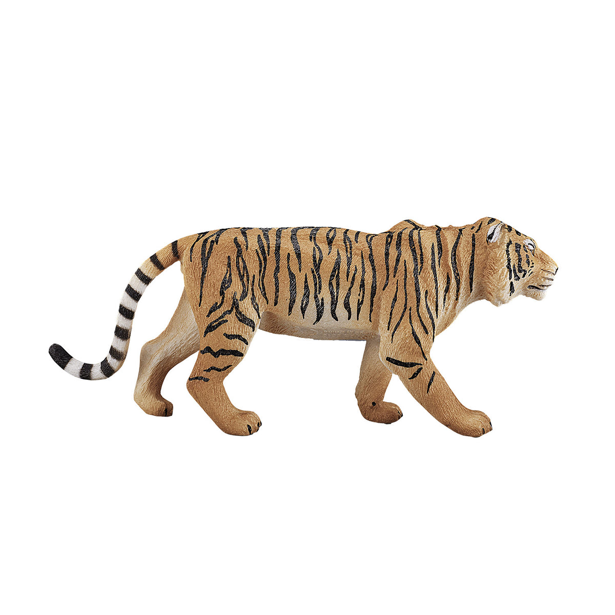 Dziki tygrys bengalski Mojo - 387003