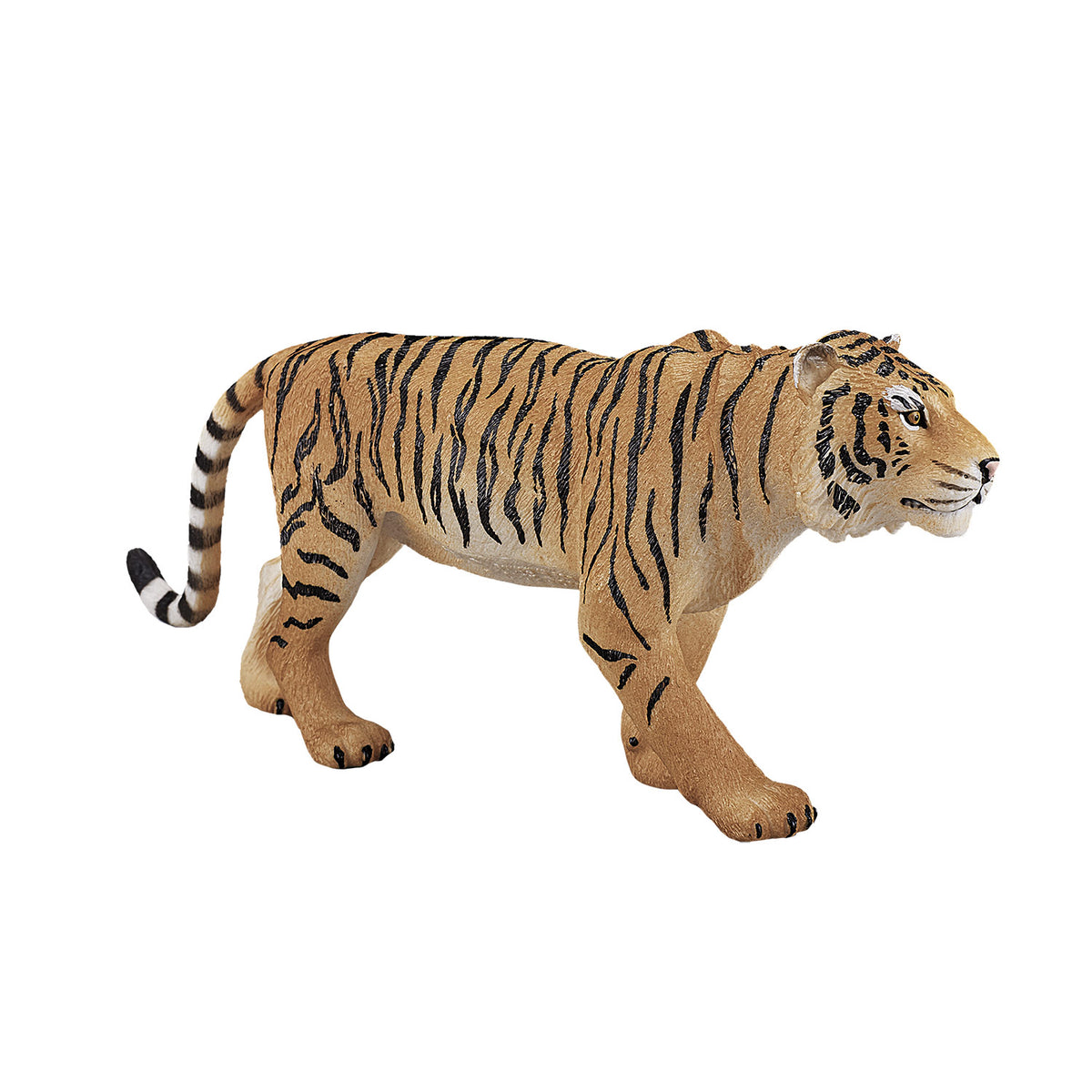 Dziki tygrys bengalski Mojo - 387003