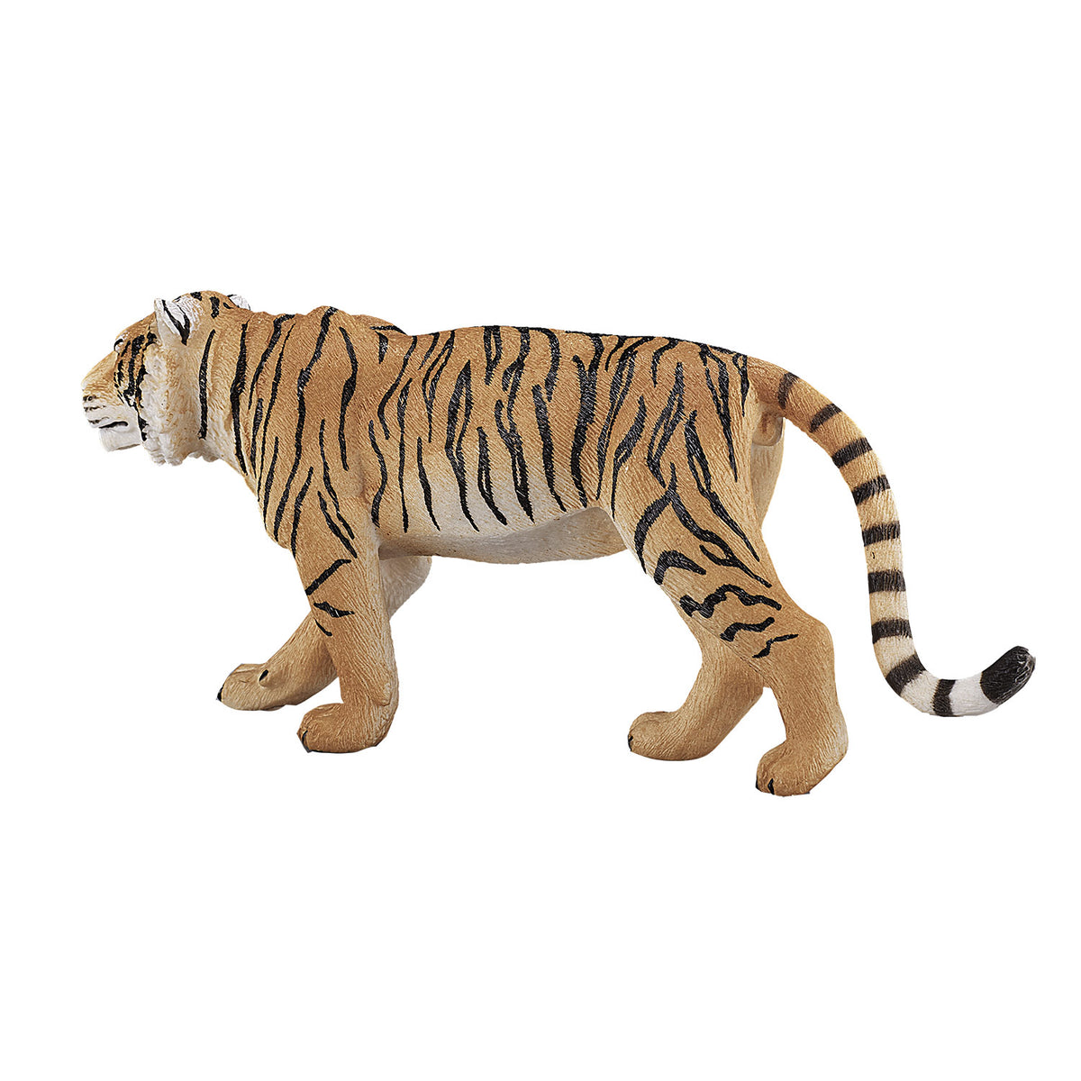 Dziki tygrys bengalski Mojo - 387003