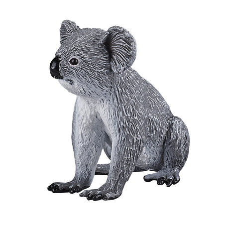 Mojo dzika koala - 387105