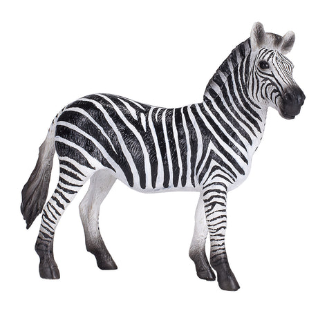 Mojo dzika zebra - 387393