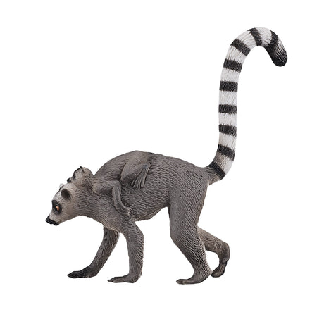 Dziki lemur katta Mojo z dzieckiem - 387237