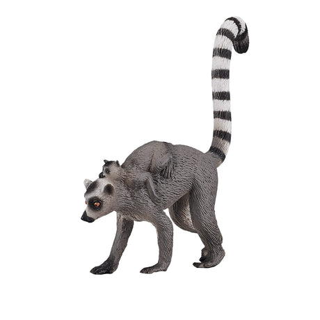 Dziki lemur katta Mojo z dzieckiem - 387237