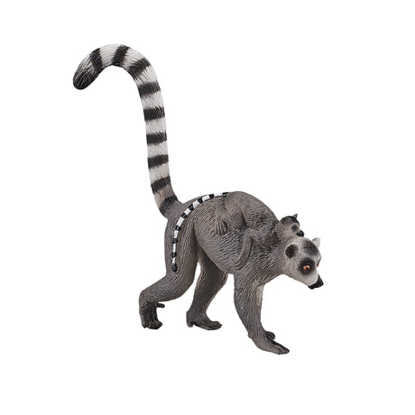 Dziki lemur katta Mojo z dzieckiem - 387237