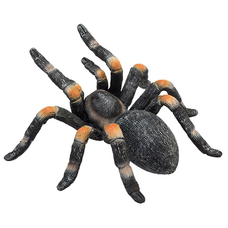 Mojo dzika czerwona tarantula - 387213