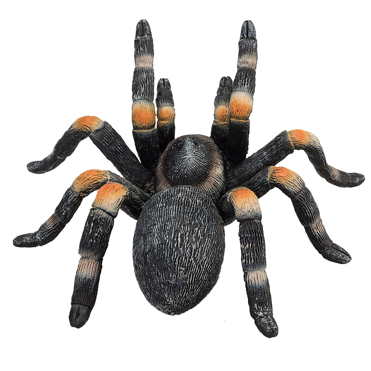 Mojo dzika czerwona tarantula - 387213