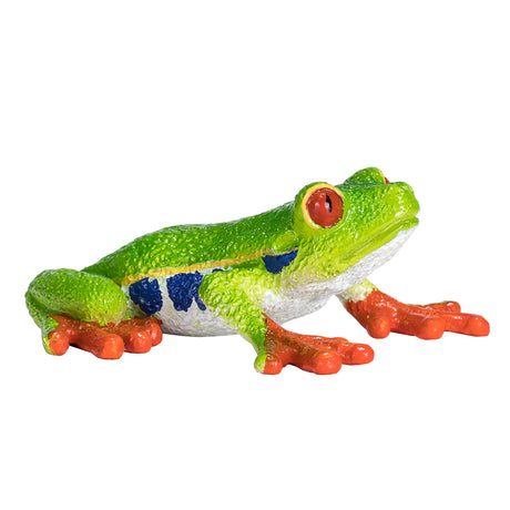 Rzekotka czerwonooka Mojo - 387299