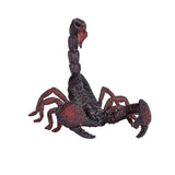 Mojo dziki skorpion cesarski - 387133
