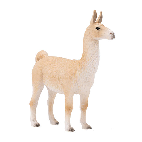 Dzika lama Mojo - 387391