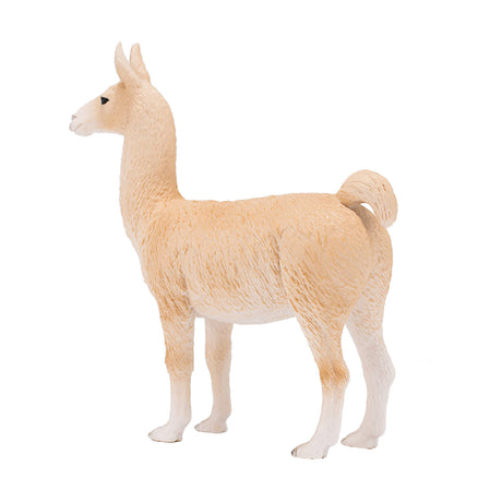 Dzika lama Mojo - 387391