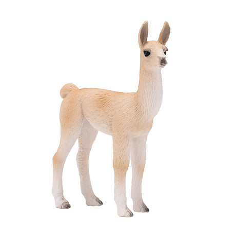 Mojo dzika lama - 387392
