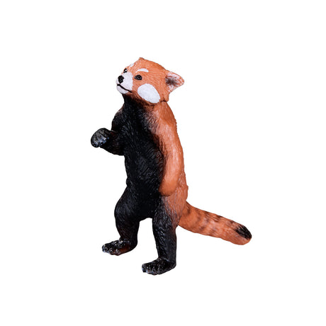 Mojo dzika panda czerwona - 387376
