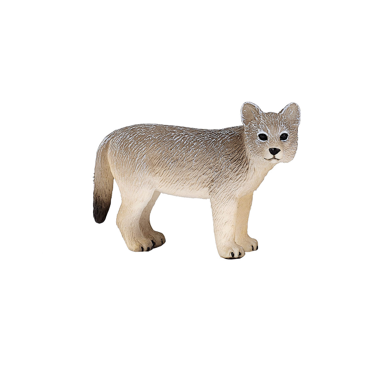 Mojo dzikie młode wilki - 387244