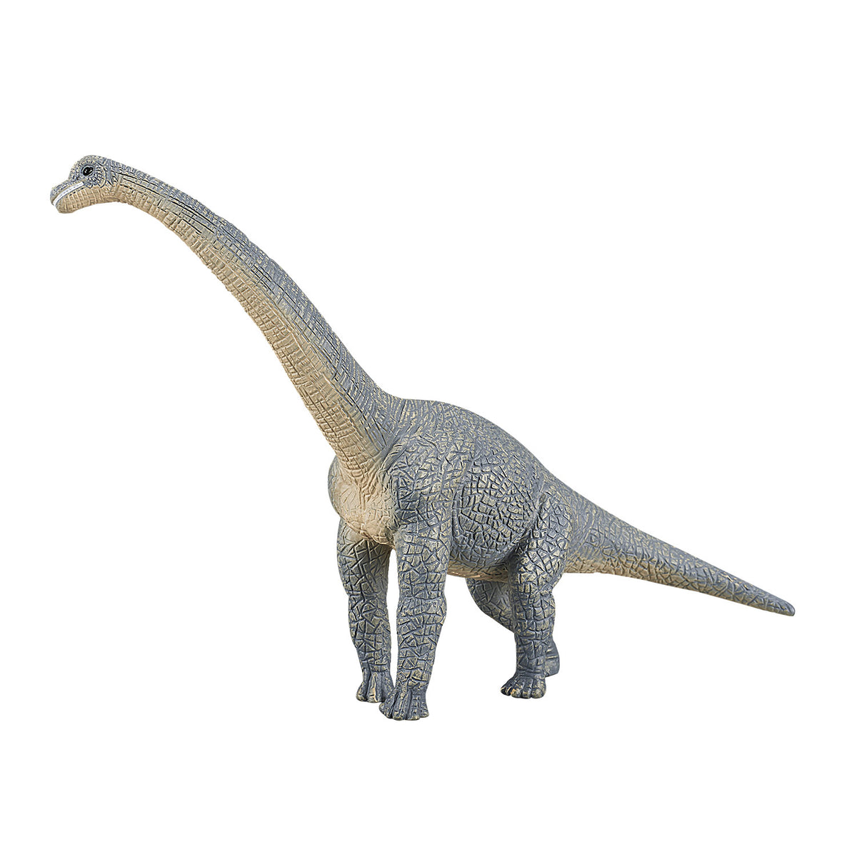 Prehistoryczny brachiozaur Mojo - 387044