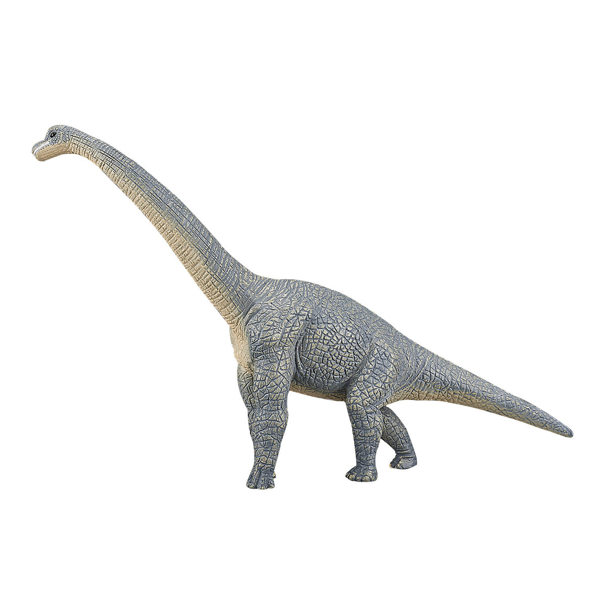 Prehistoryczny brachiozaur Mojo - 387044
