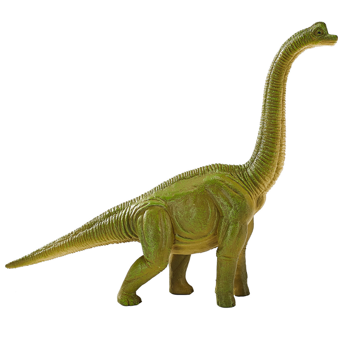 Prehistoryczny brachiozaur Mojo - 387212
