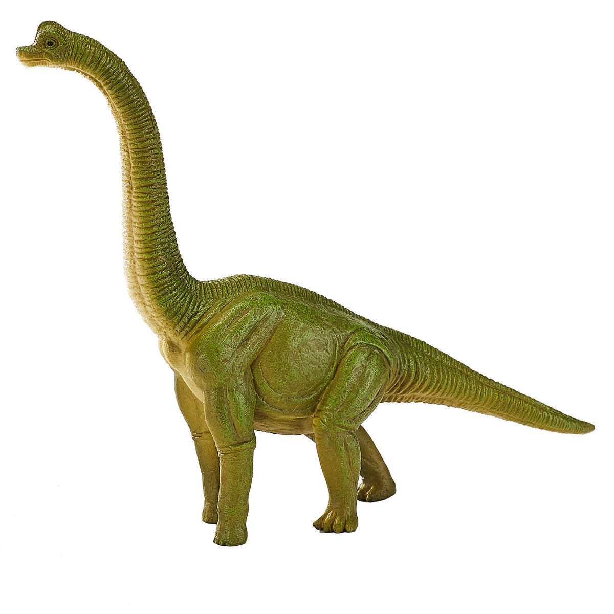 Prehistoryczny brachiozaur Mojo - 387212