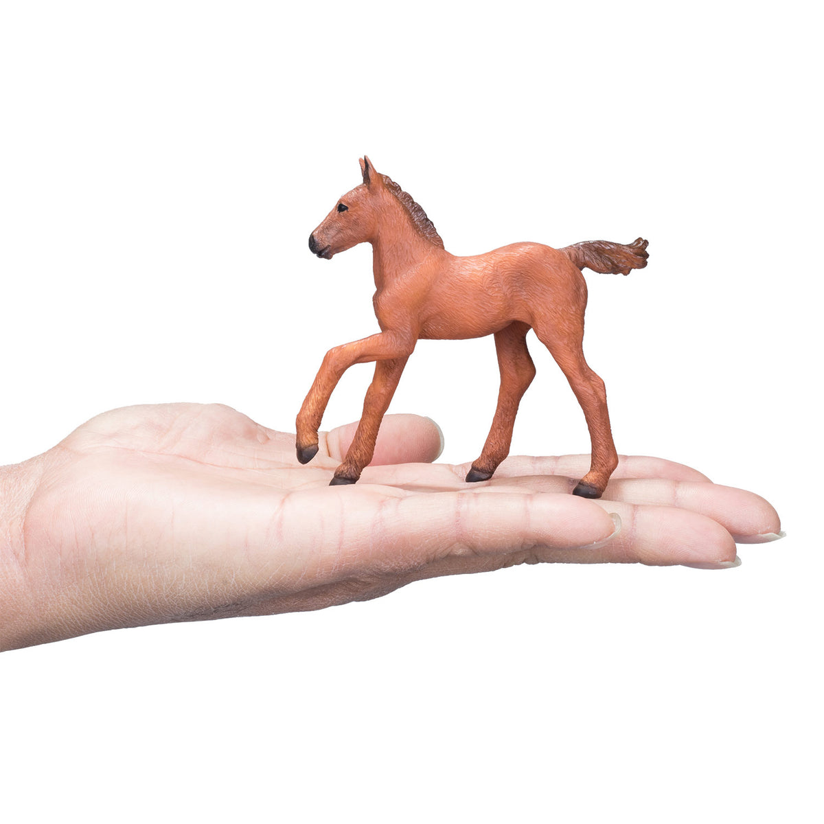 Mojo Horse World źrebię arabskie brązowe - 381019
