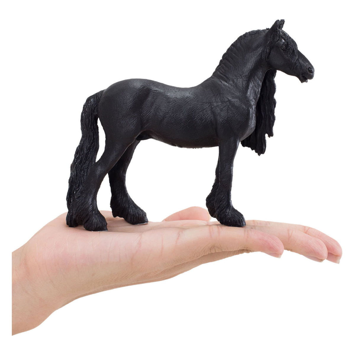Mojo Horse World Wałach fryzyjski 387240