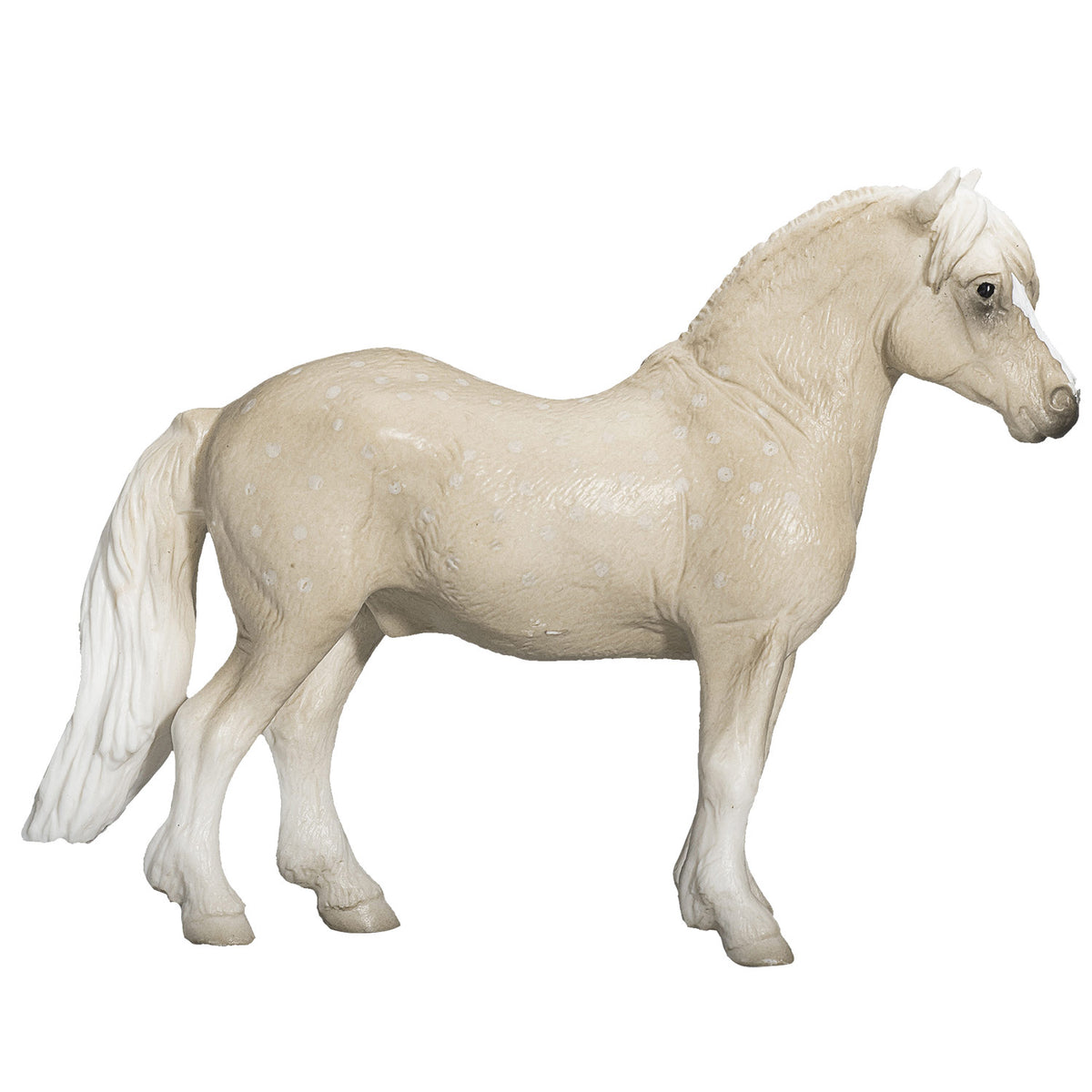Kuc walijski Mojo Horse World - 387282