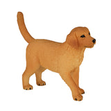 Szczeniak Mojo Farmland Golden Retriever - 387205