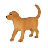 Szczeniak Mojo Farmland Golden Retriever - 387205