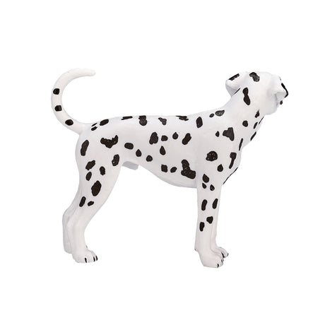 Dalmatyńczyk Mojo - 387248