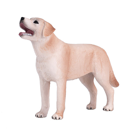 Labrador rolniczy Mojo - 387271