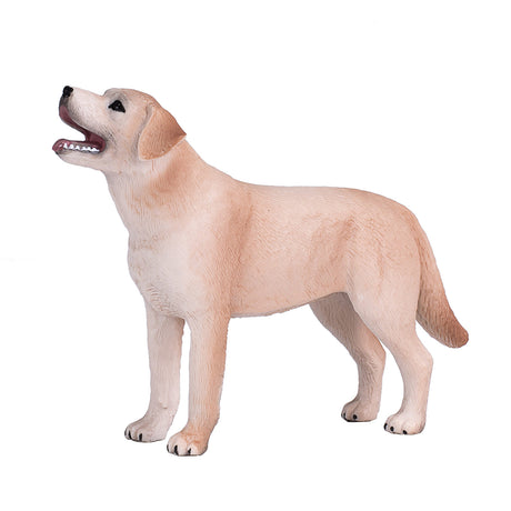 Labrador rolniczy Mojo - 387271