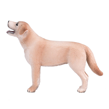 Labrador rolniczy Mojo - 387271