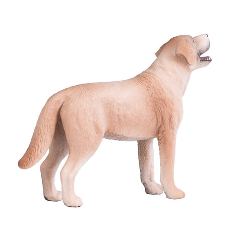 Labrador rolniczy Mojo - 387271