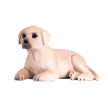 Szczeniak labradora rolniczego Mojo - 387272
