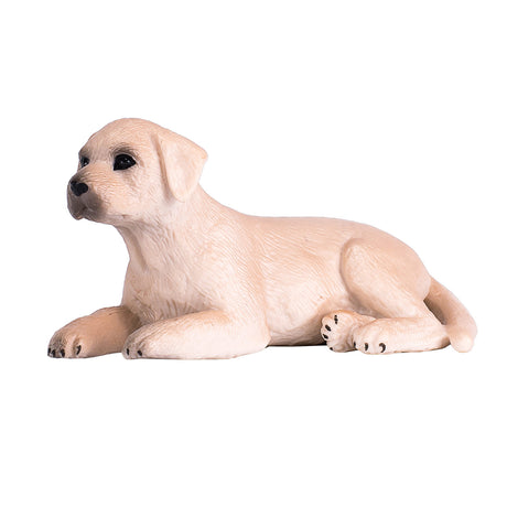 Szczeniak labradora rolniczego Mojo - 387272