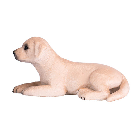 Szczeniak labradora rolniczego Mojo - 387272